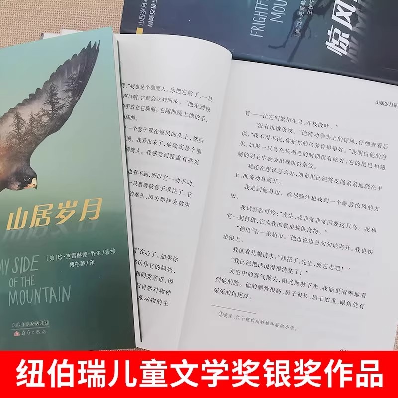 图 3