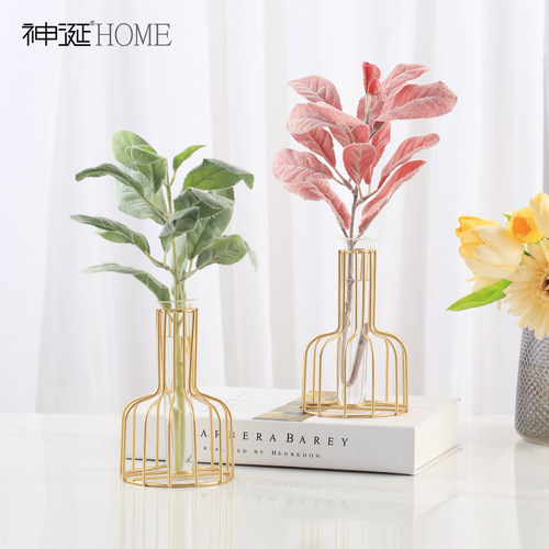 ins风北欧透明玻璃花瓶摆件创意简约客厅干花插花餐桌面装饰品小 - 图2