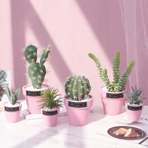 ins风北欧盆栽摆件