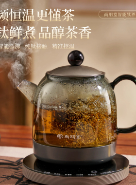 尚朋堂T3纯钛养生壶花茶煮茶壶