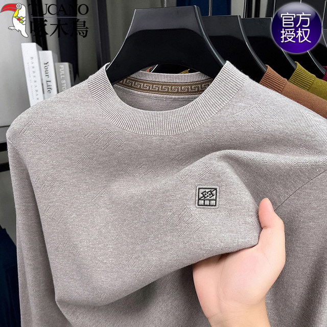 Woodpecker men's middle-aged and young round neck thin knitted sweater