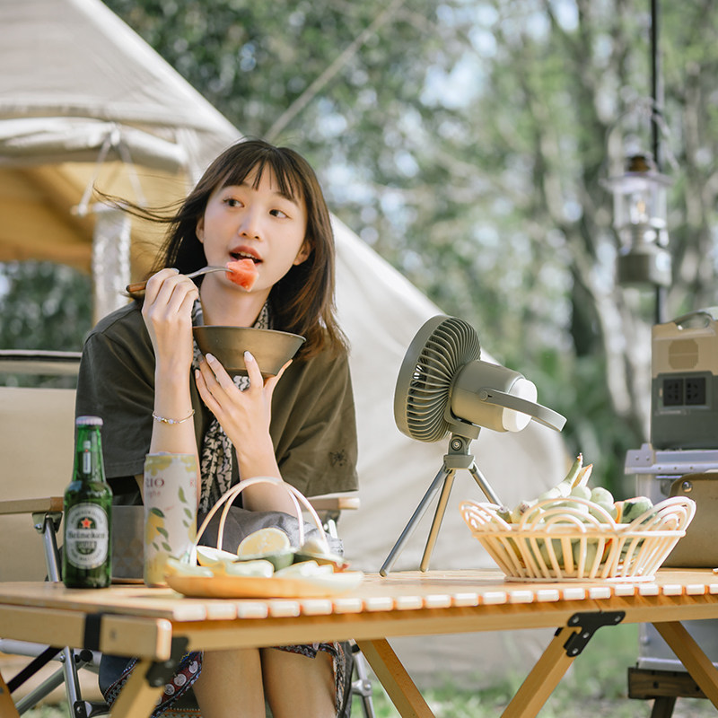  naturehike营地灯/帐篷灯