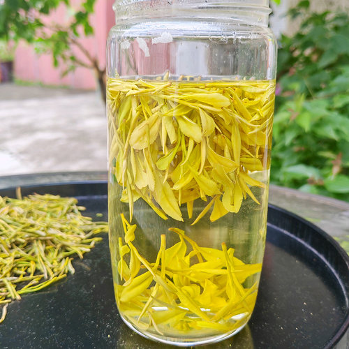 乐茁鲜豆香【明前中档黄金芽】2026年新茶正宗安吉高山黄金白茶叶 - 图1