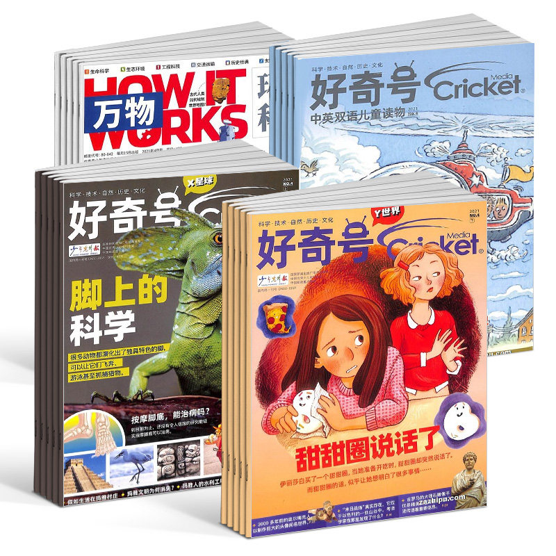 包邮好奇号+万物杂志组合 2023年1月起订组合共24期杂志铺美国Cricket Media版权合作科学历史文化少儿科普期刊书籍_虎窝淘