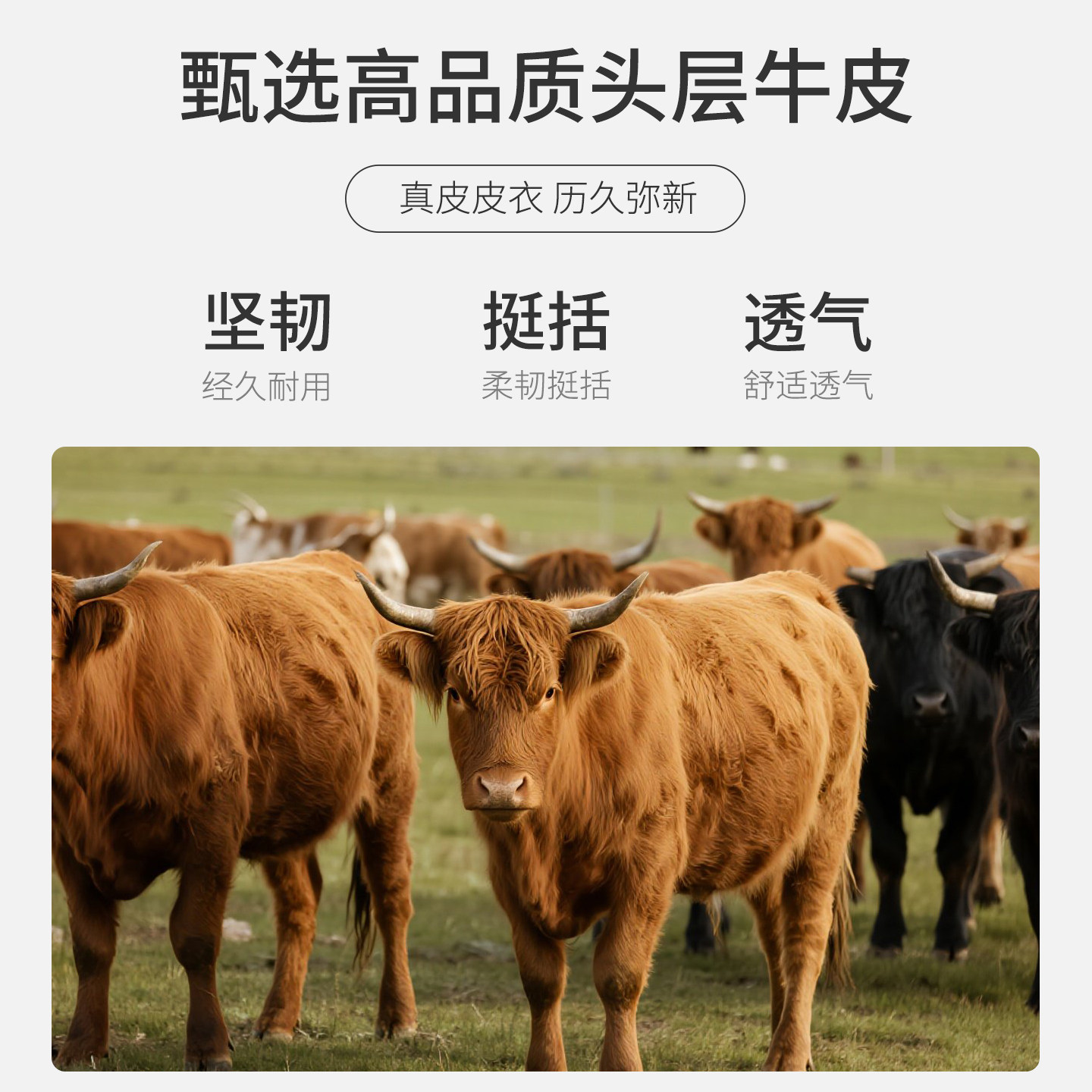 [牛皮革/加绒夹棉]梦特娇男士真皮皮衣25冬装连帽外套派克服保暖J,淘宝优惠券,粉丝福利购,淘宝优惠卷