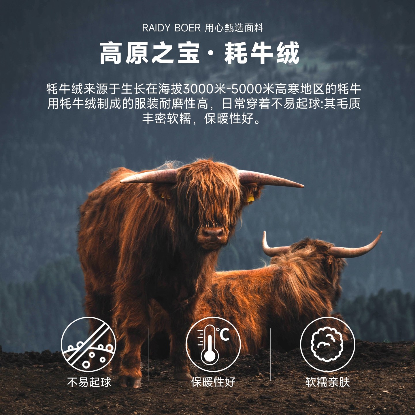 [牦牛绒/绵羊毛]梦特娇男士罗纹圆领毛衣秋冬季加厚款打底针织衫Z,淘宝优惠券,粉丝福利购,淘宝优惠卷