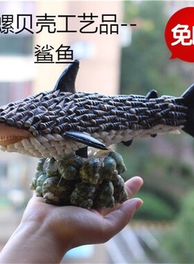 热卖天然海螺贝壳创意家居装饰