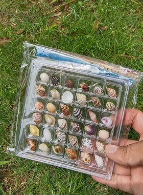 天然迷你小海螺贝壳海星高透亚克力收纳盒材料微贝沙标本海边礼物