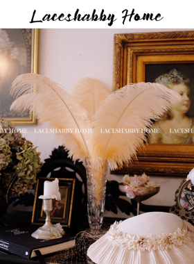 新款洛可可非洲鸵鸟毛复古装饰