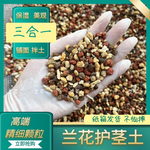 兰花专用铺面石赤玉土植金石红土粒三合一多肉石斛护茎土兰花土 - 图3