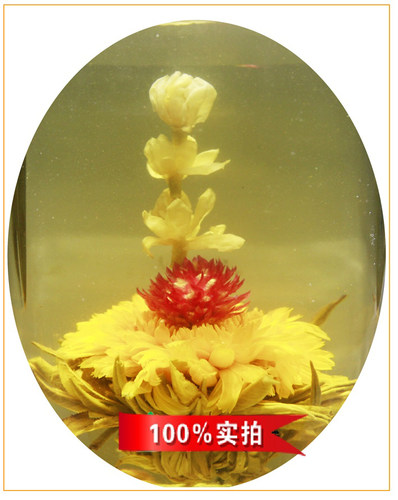 新款中国大陆福建省福州市会开花的茶工艺仙女仙子茉莉花茶叶10粒 - 图0