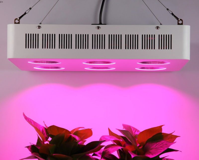 植物生长灯LED红蓝白全光谱配方植物工厂叶菜多肉室内1200W补光灯