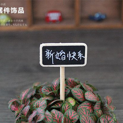 木质插牌小黑板展示盒场景造景手工沙盘diy苔藓微景观材料盆栽瓶 - 图2