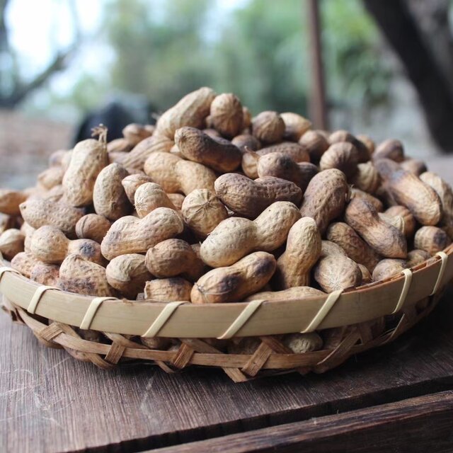 Guizhou firewood fried peanuts ready for delivery