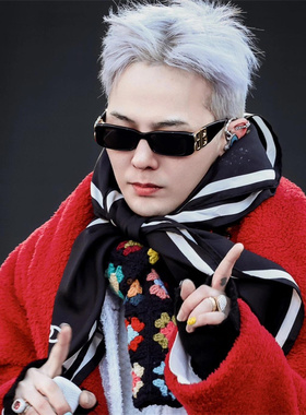 权志龙GD同款BB墨镜BB0096S板材