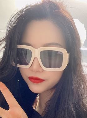 23新款罗意家大方框墨镜网红小红书INS同款个性女太阳眼镜LW40080