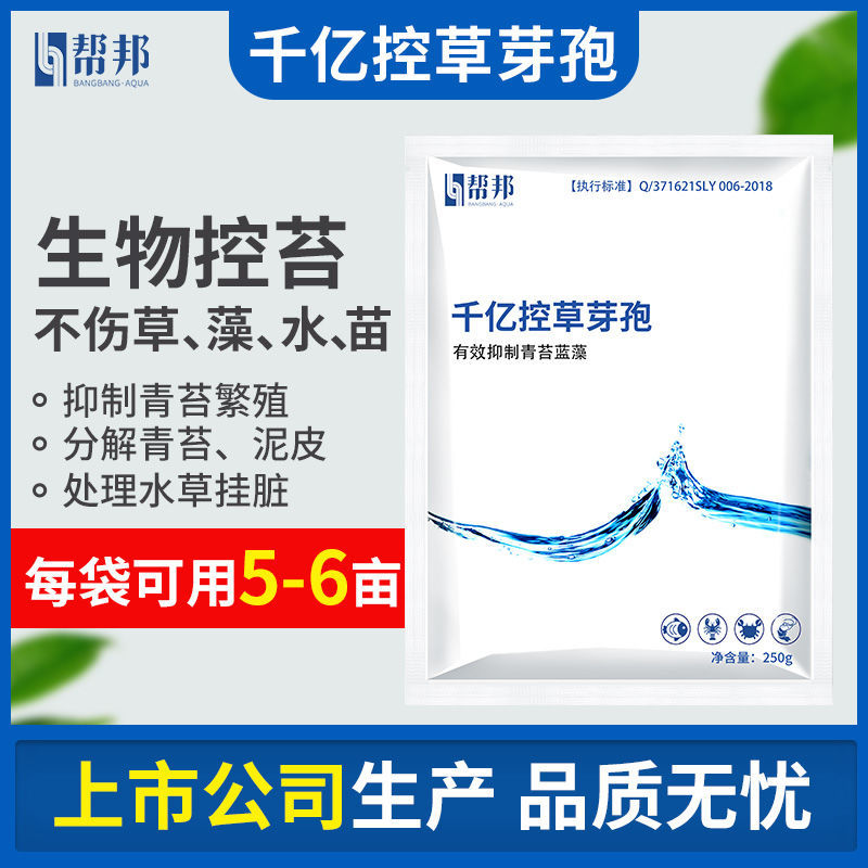 帮邦水产千亿复合芽孢杆菌控草芽孢抑菌蓝藻生物防控青苔生物安全