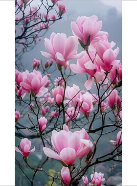 玉兰花图案贴画客厅卧室唯美风景画贴纸治愈系竖版PVC不干胶贴纸E