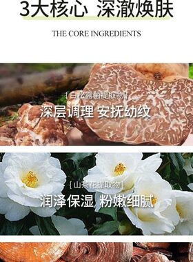 白松露酵母抗皱补水弹润细滑紧致亮肤水乳护肤滋润七件套装化妆品