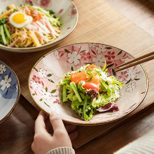 日式釉下彩盘子菜盘家用2026新款碗碟餐具陶瓷好看的漂亮深盘汤盘 - 图2