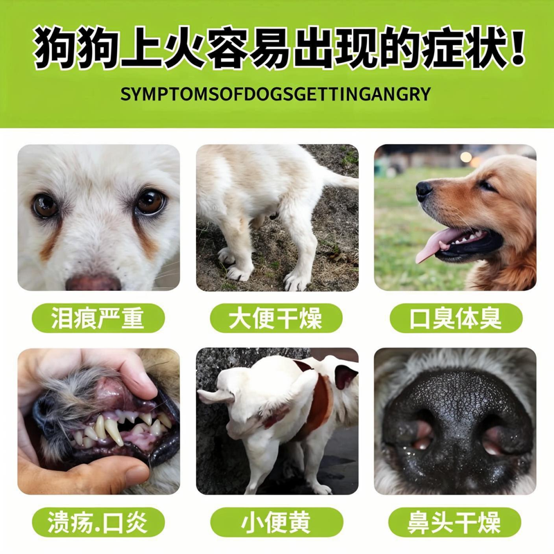 狗狗零食湿粮包狗条营养补充剂鸭肉梨清热降火宠物零食成幼犬通用,淘宝优惠券,粉丝福利购,淘宝优惠卷