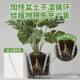 New flower pot ventilation pipe breathable pipe artifact