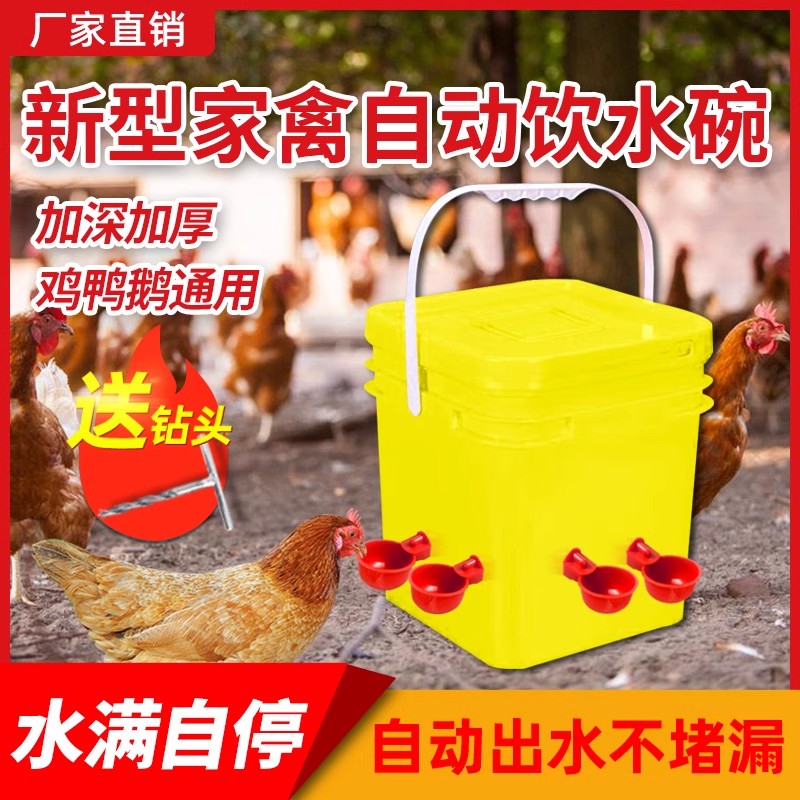 养鸡用自动饮水器鸡鸭鹅饮水碗鸽子喝水碗鹌鹑家禽鸟小鸡喂食神器