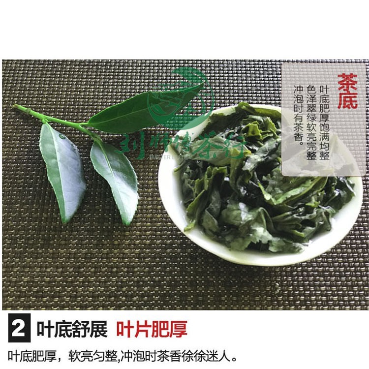 2024新茶春茶铁观音带梗毛茶 清香型tgy铁观音茶叶500g