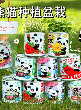 卡通种植DIY儿童礼物套装