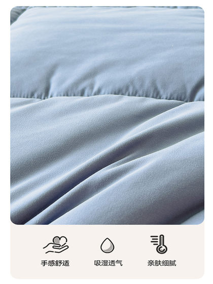 Soft mattress type A thickened soft and comfortable