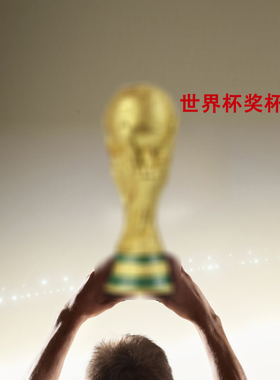 世界杯足球奖杯大力神杯模型
