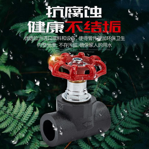 截止阀阀门开关4分202532升降式PE自来水国标大体止水阀水管配件 - 图2