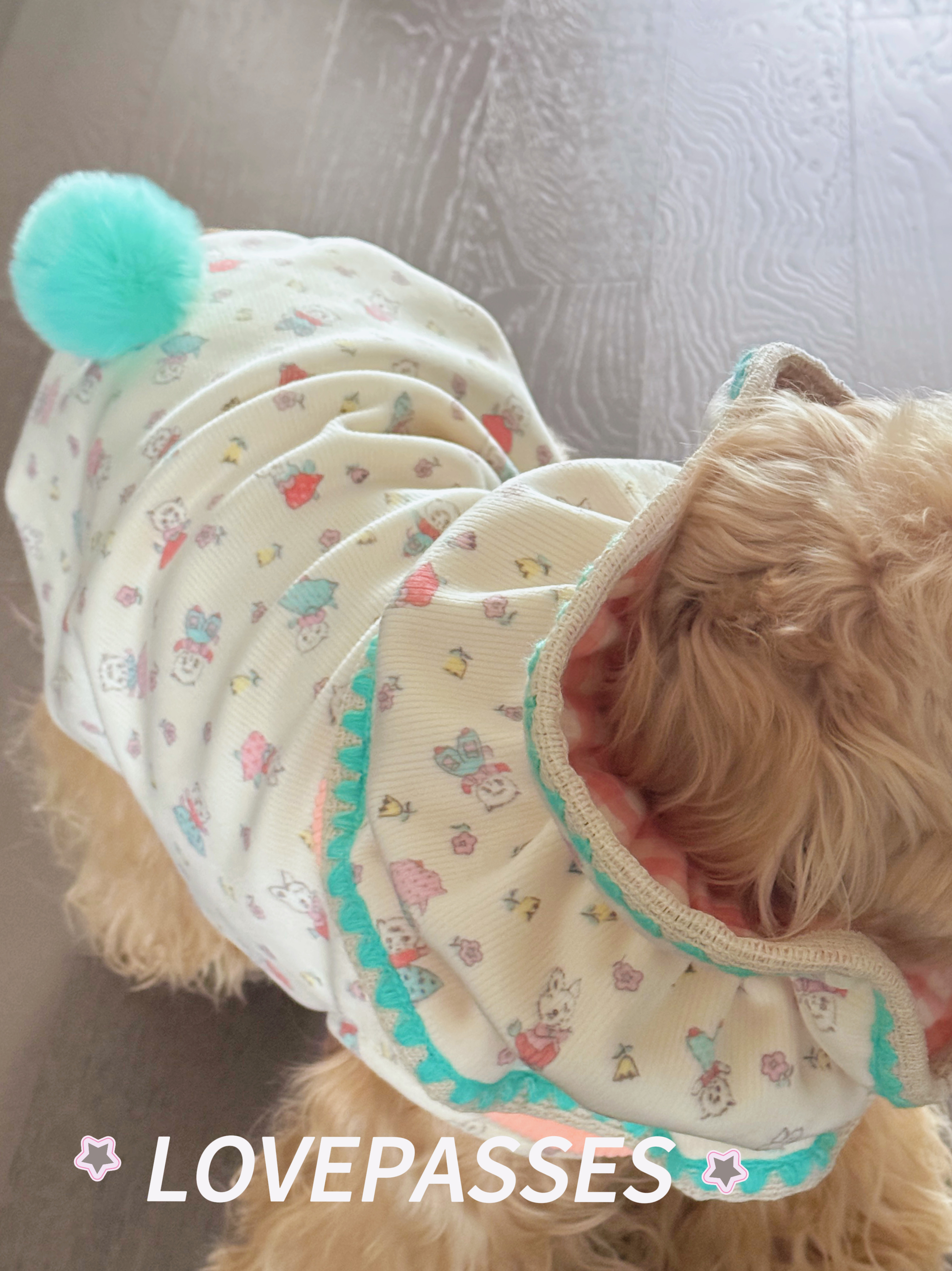 2026新品｜狗狗衣服耳套宠加厚网红无袖韩风卡通猫咪开衫可爱背心,淘宝优惠券,粉丝福利购,淘宝优惠卷