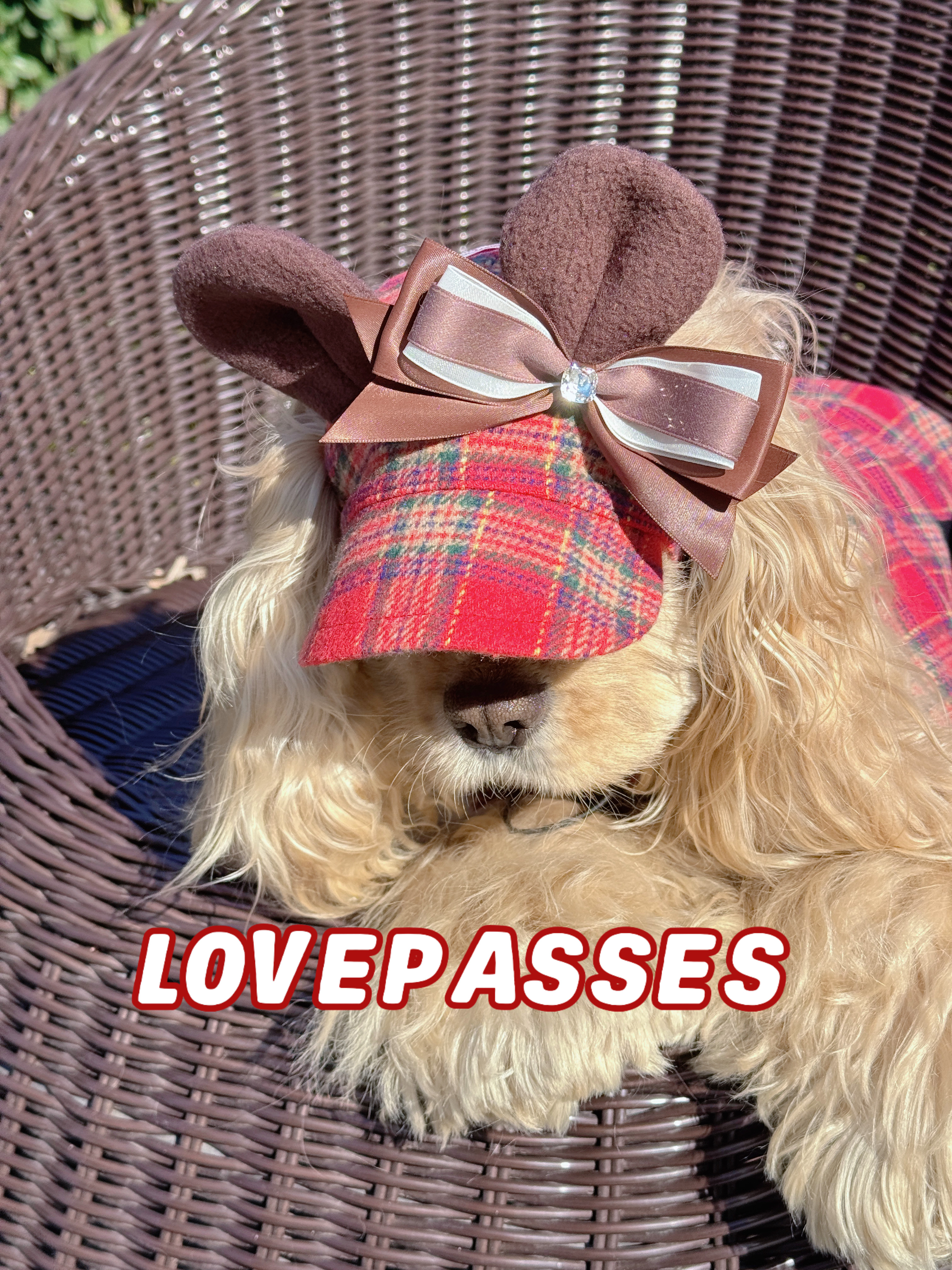 2026｜狗狗衣服新品保暖宠物红色格子狗狗网红无袖马甲棒球棒套装,淘宝优惠券,粉丝福利购,淘宝优惠卷