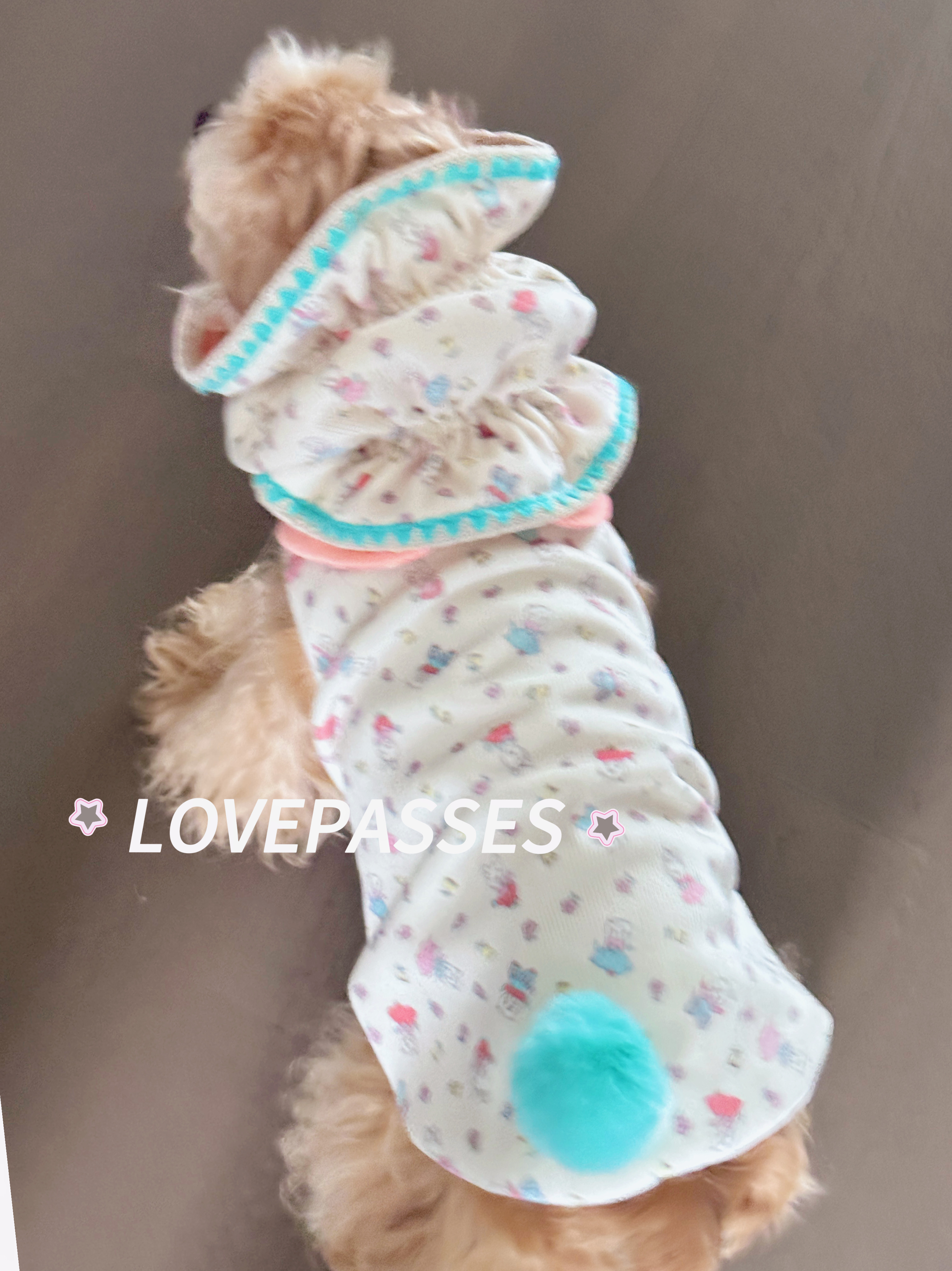 2026新品｜狗狗衣服耳套宠加厚网红无袖韩风卡通猫咪开衫可爱背心,淘宝优惠券,粉丝福利购,淘宝优惠卷