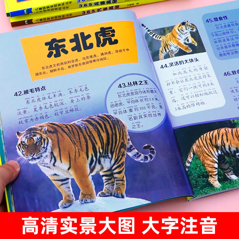 儿童探索发现百科揭秘丛书4册 365地球/宇宙/动物/恐龙奥秘系列 幼儿童科普大百科全书读物3-6-7-8-9岁少儿图书小学生课外阅读书籍 - 图1