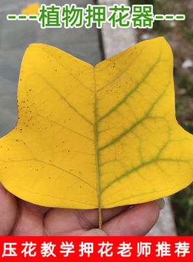 树叶押花器干花压花手工DIY材料