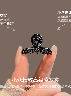 黑色小众迷你抓夹女高级感精致