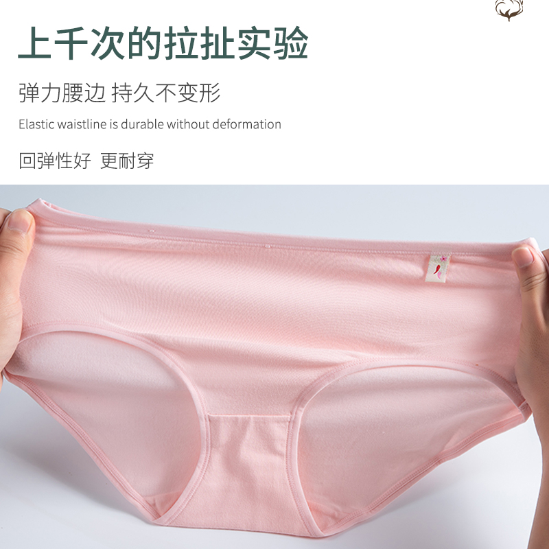 彩田内裤正品女士 纯棉三角裤中腰简约低腰提臀全棉质少女短裤215 - 图2