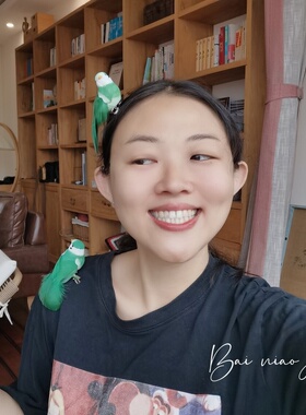百鸟集原创设计 绿色小鸟羽毛西装礼服小众肩章胸针头饰发夹发饰