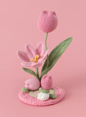 成品手工钩织盆栽毛线花盆教师节伴手礼品办公桌装饰摆件电脑桌花