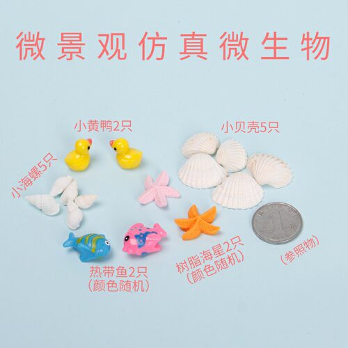 DIY海洋瓶小装饰全套贝壳海星海螺手工创意许愿瓶彩虹星空瓶材料 - 图0