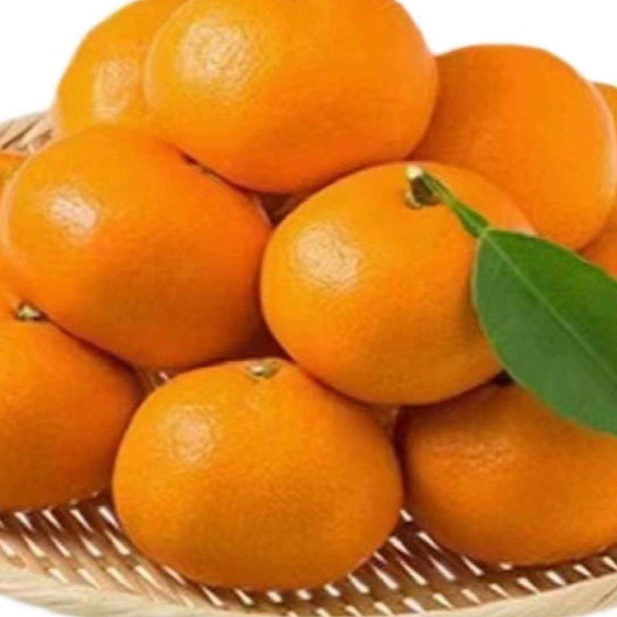 正宗临海涌泉高山蜜桔当季新鲜水果无核现摘现发贡品级爆汁包邮,淘宝优惠券,粉丝福利购,淘宝优惠卷