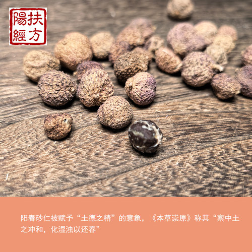 扶阳经方春砂仁中药材广东阳春养胃沙仁新货精选阳春砂春沙 - 图1