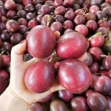 Yunnan Baixiang Fruit Frunt Fround Fround Frunt Fruit 5 Catties из больших фруктов цельная коробка, West Yaly первого уровня собирает фрукты и яичные фрукты 10
