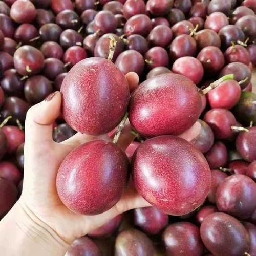 Yunnan Baixiang Fruit Frunt Fround Fround Frunt Fruit 5 Catties из больших фруктов цельная коробка, West Yaly первого уровня собирает фрукты и яичные фрукты 10