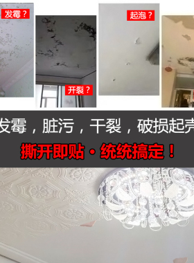 天花板贴纸顶棚壁纸自粘防水墙贴