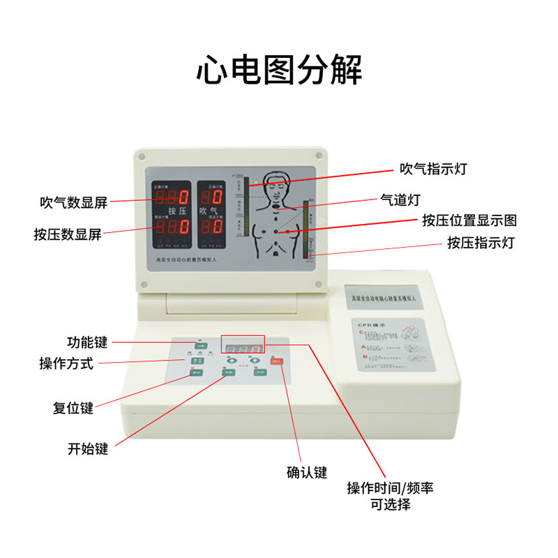 泰贵医学TG/CPR290半身电脑心肺复苏模拟人呼吸急救训练考核模型-图1