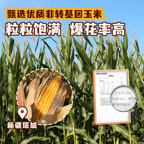 展艺三合一自制老式爆米花原料球形奶油焦糖苞米花专用玉米粒 - 图1