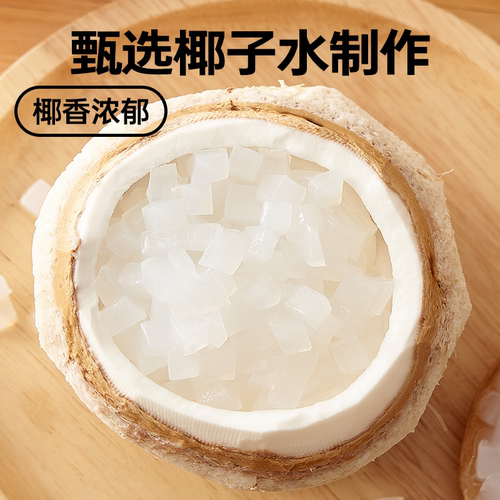 展艺椰果果粒奶茶专用原味椰果粒商用批发甜品配料椰子果肉原料 - 图1